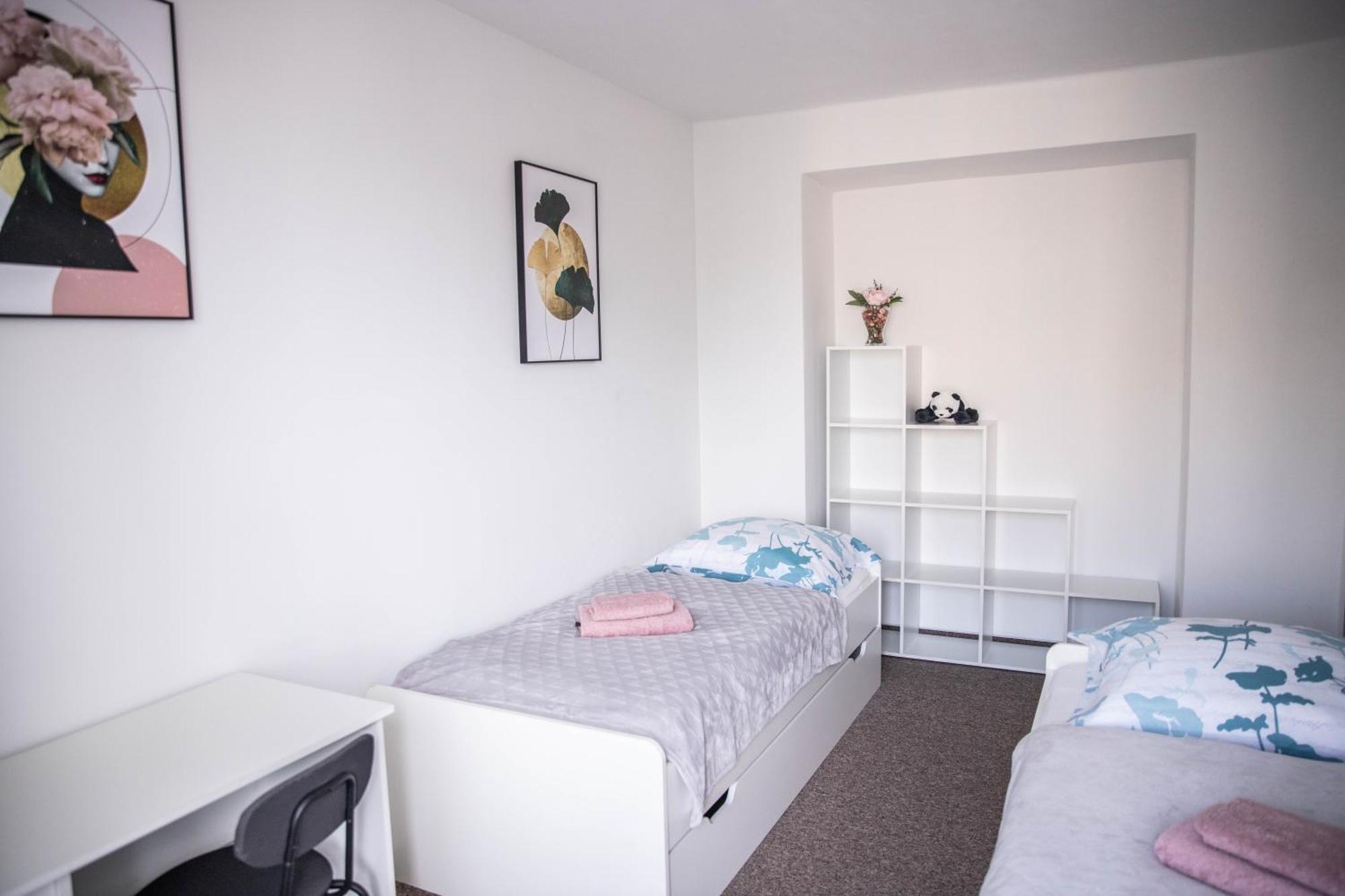 Prostorny Byt V Centru U Reky, 2 Loznice, Balkon Hradec Králové 外观 照片