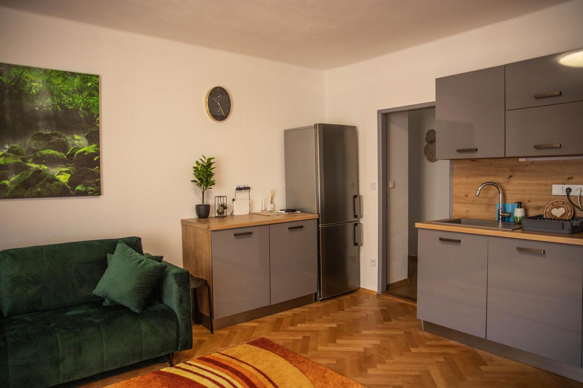 Prostorny Byt V Centru U Reky, 2 Loznice, Balkon Hradec Králové 外观 照片